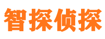 永清市私家侦探